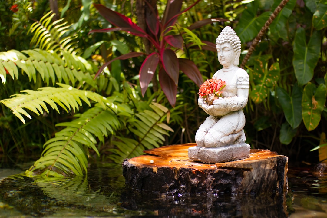 Peaceful zen nature scene