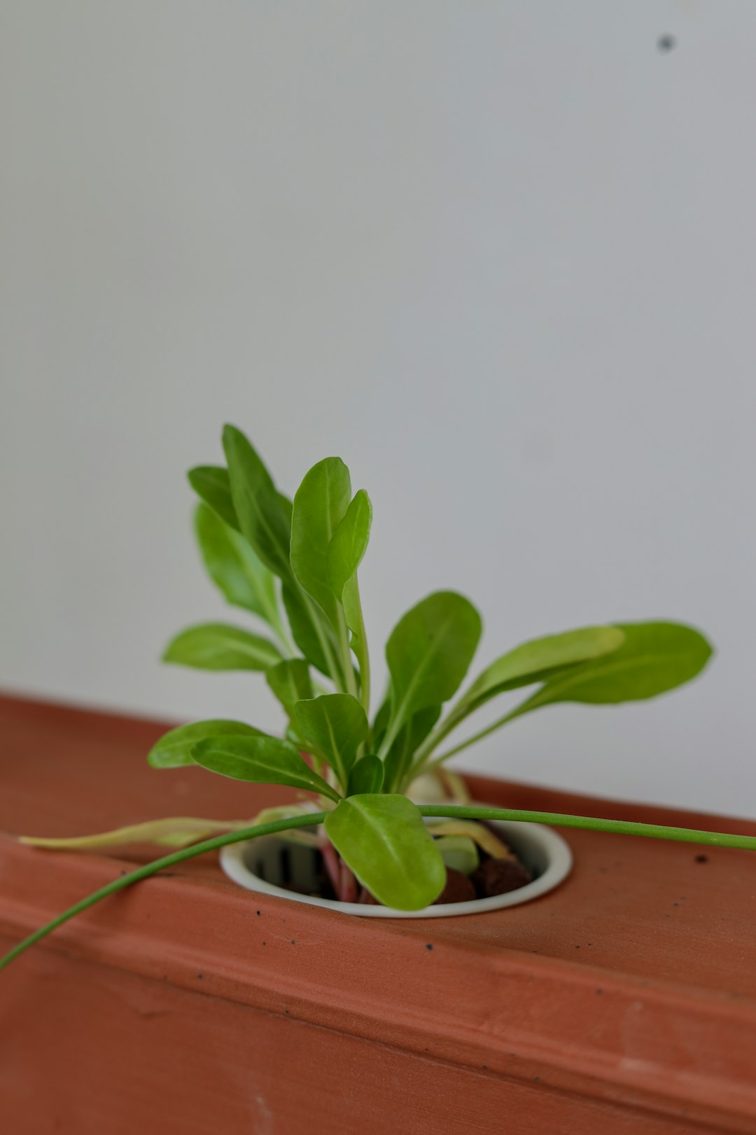 personalGrowth